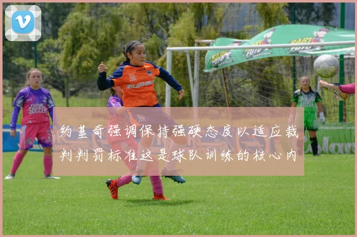 约基奇强调保持强硬态度以适应裁判判罚标准这是球队训练的核心内容